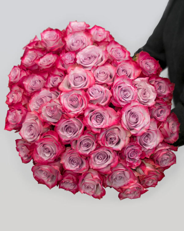 Buket od 51 ljubičaste ekvadorske ruže